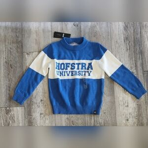 Youth Bruzer HOFSTRA University Youth Bar Down Sweater